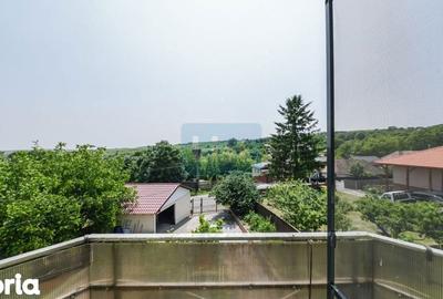 Casă cu Teren 4015 Mp în Tureni - 15