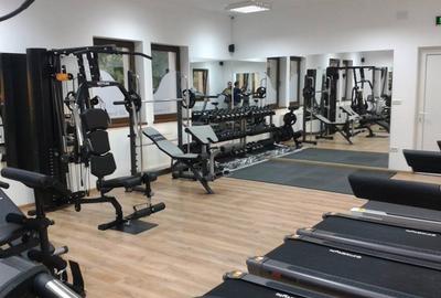 Spațiu comercial, de 320 mp, în Miniș - 4