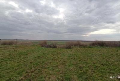 Casă cu Teren 3800 Mp în Central