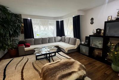 Casa confortabila si spatioasa de vanzare in Frasin - ideala pentru familii - 21