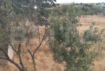 Casă cu 4 camere cu Teren 1008 Mp în Bucovăț - 1