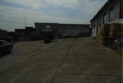 Depozit depozite hala Bacau Magura - 3