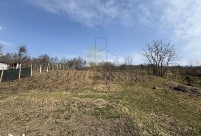 Casă cu 2 camere cu Teren 1191 Mp în Canta - 3