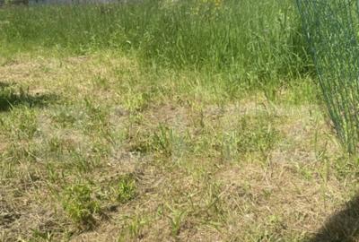 Teren intravilan in Vatra Dornei, 1000 mp - 1