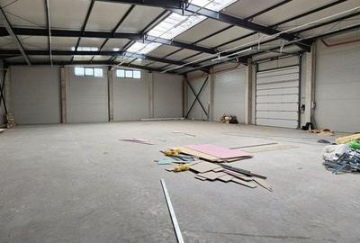 Pantelimon DN3 hala 600 mp - 6