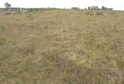 Teren de 600 mp, în Central - 5