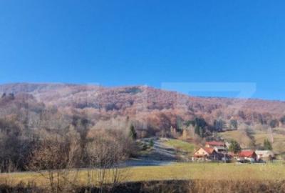 Teren extravilan - Sita Buzaului -6800 mp posibilitate trece - 17