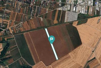 Teren de vanzare 28100 mp in Ciorogarla, Ilfov - 3