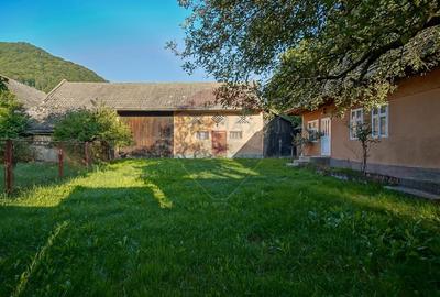 Teren intravilan 7.255 mp +casă rustică – ideal pensiune în Vama Buzău - 4