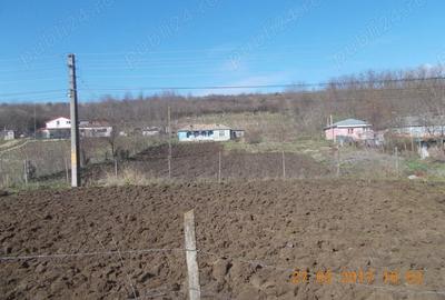 Teren de 3000 mp, în Odaia Manolache - 2