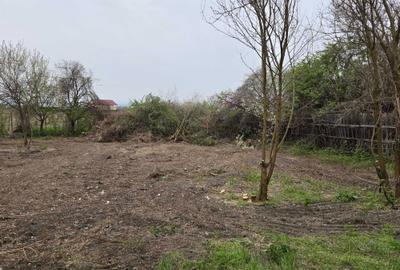 Casă cu 4 camere în Buhoci - 6