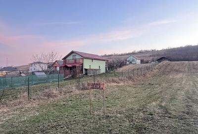 Teren de 850 mp, în Iris - 4