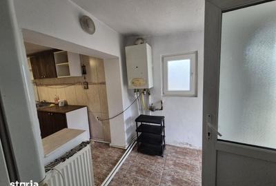 Casă cu 4 camere cu Teren 1400 Mp în Palazu Mare - 2