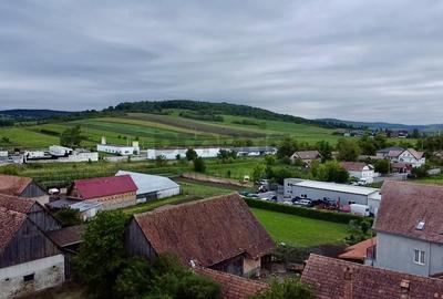 CASĂ COMPUSĂ DIN 2 CORPURI + CURTE + ANEXE - ORAȘ RUPEA | COMISION 0% - 4