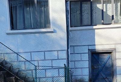 De vinzare casa la tara sat Jichisul de sus - 5