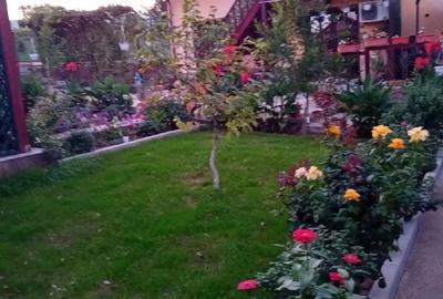 Casă cu Teren 1200 Mp în Central