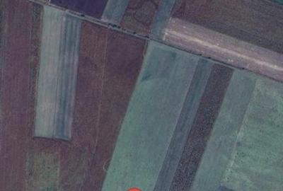 Vand teren agricol extravilan, suprafa?a 7.400 mp, Covasna - 2