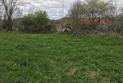 Spațiu comercial, în Lelese - 3