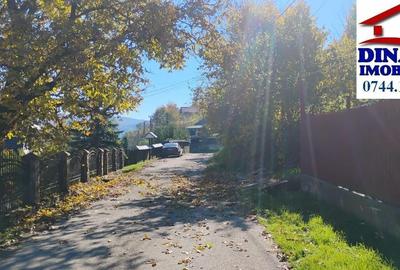 3600 mp teren intravilan, sat Bistrita, 12 Euro/mp - 12