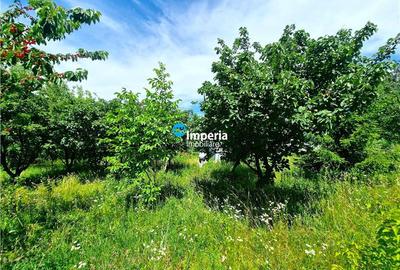 Casă cu 3 camere cu Teren 800 Mp în Curături - 14