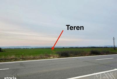 Teren de 15003 mp, în Saca - 1