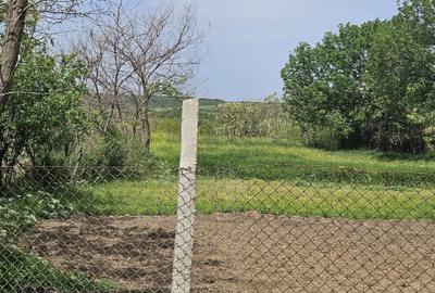 Casă cu 2 camere în Brădești - 3