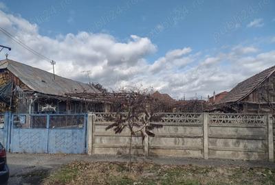 Casa de vanzare cu teren de 10 arii - 1