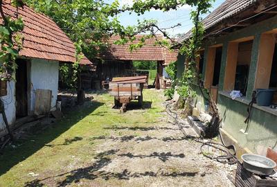 Casa cu gradina de vanzare - 1