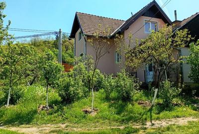 Casă cu 3 camere în Cotuș - 3