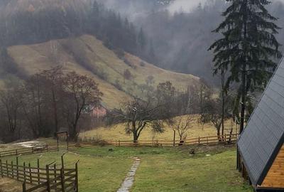 Casă cu 2 camere în Podu Dâmboviței - 12