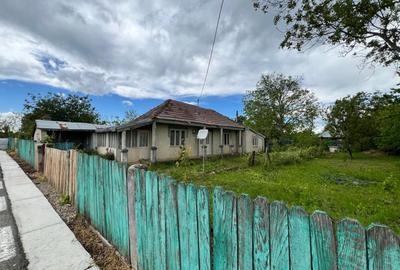 Casa + teren 4430 mp, vie si pomi fructiferi, 22 km de Tecuci - 2