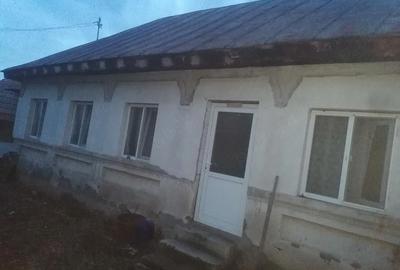 Casă cu Teren 1222 Mp în Grădinari - 2