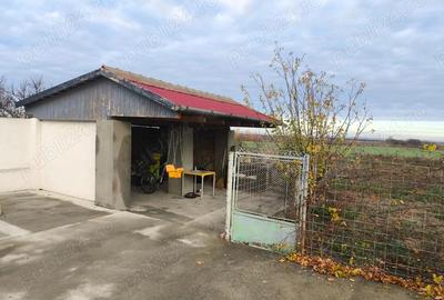 Casa de vanzare in Sannicolau Mare renovata modern - 7