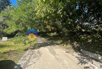 Teren Construcții intravilan de 6092 mp, în Turturești - 2