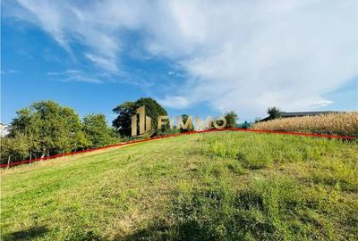 Teren Intravilan | 5400mp | Sf. Ilie | ID:801 - 3