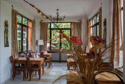 Spațiu comercial, de 1,200 mp, în Cornu - 14