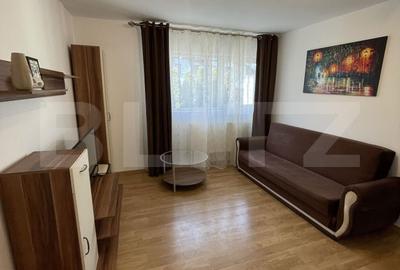Apartament cu 2 camere semidecomandat în Paltin