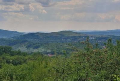 REL4001190 Teren de vanzare in Ogretin I Valenii de Munte I Prahova - 4