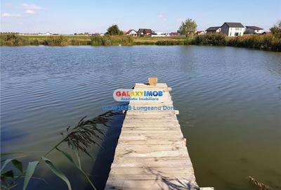 Com Berceni, intravilan 500 mp, Stradal, Curent Electric, Comercial - 12