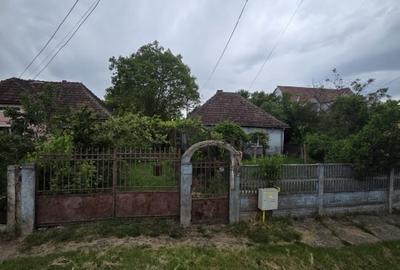 Casa de vanzare - Strada Lucian Blaga - 2
