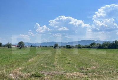 Oportunitate de investitie!! Teren extravilan,4000 mp, Vicov - 4