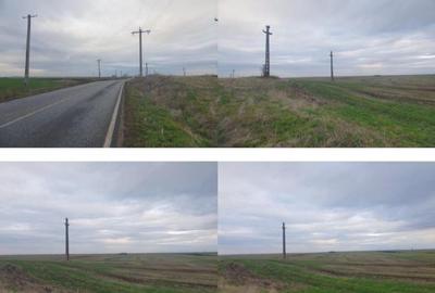 -teren extravilan, com. Satchinez, jud. Timis - 3