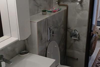 Apartament cu 2 camere decomandat în Colentina - 13