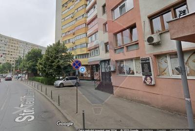 Spatiu comercial de 50mp de inchiriat in zona Teiul Doamnei - 9