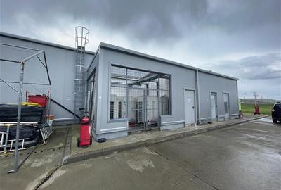 Hala Industriala Premium Letcani Complet Echipata - 5