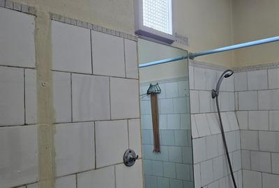 Apartament cu 2 camere semidecomandat în Giurgiului - 15