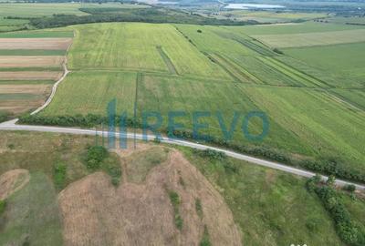 Teren de 3600 mp, în Racova - 5