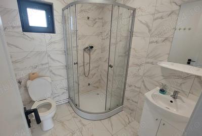 Casa BCA , Noua, Mobilata utilata ,Centrala proprie cu GAZ 3 Km de Centrul Mioveniului - 10