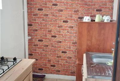 Apartament cu 2 camere semidecomandat în Petrișor - 5