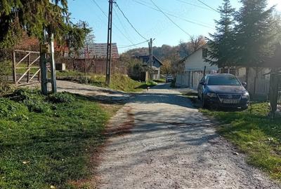 Casă cu Teren 3454 Mp în Mislea - 1